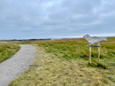 Trail to the seal viewing area