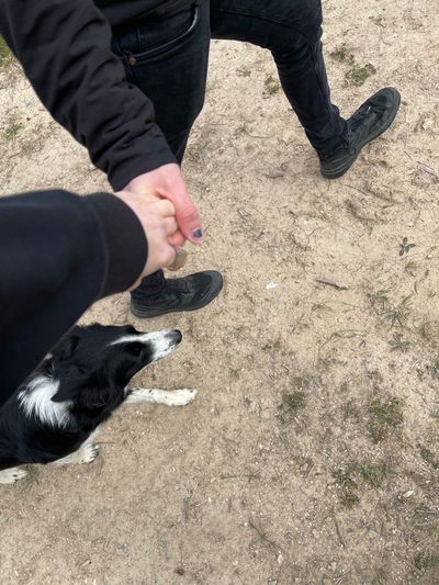 At Monte das Louzeiras, the friendly farm dog followed us on walks throughout the olive grove