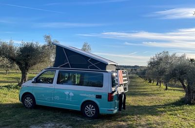 Camper van parked along the olive trees at the friendly Monte das Louzeiras vineyard