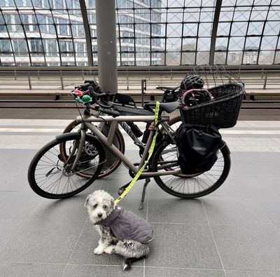 Waiting for the IC train at Berlin Hauptbahnhof with two bikes and a small dog